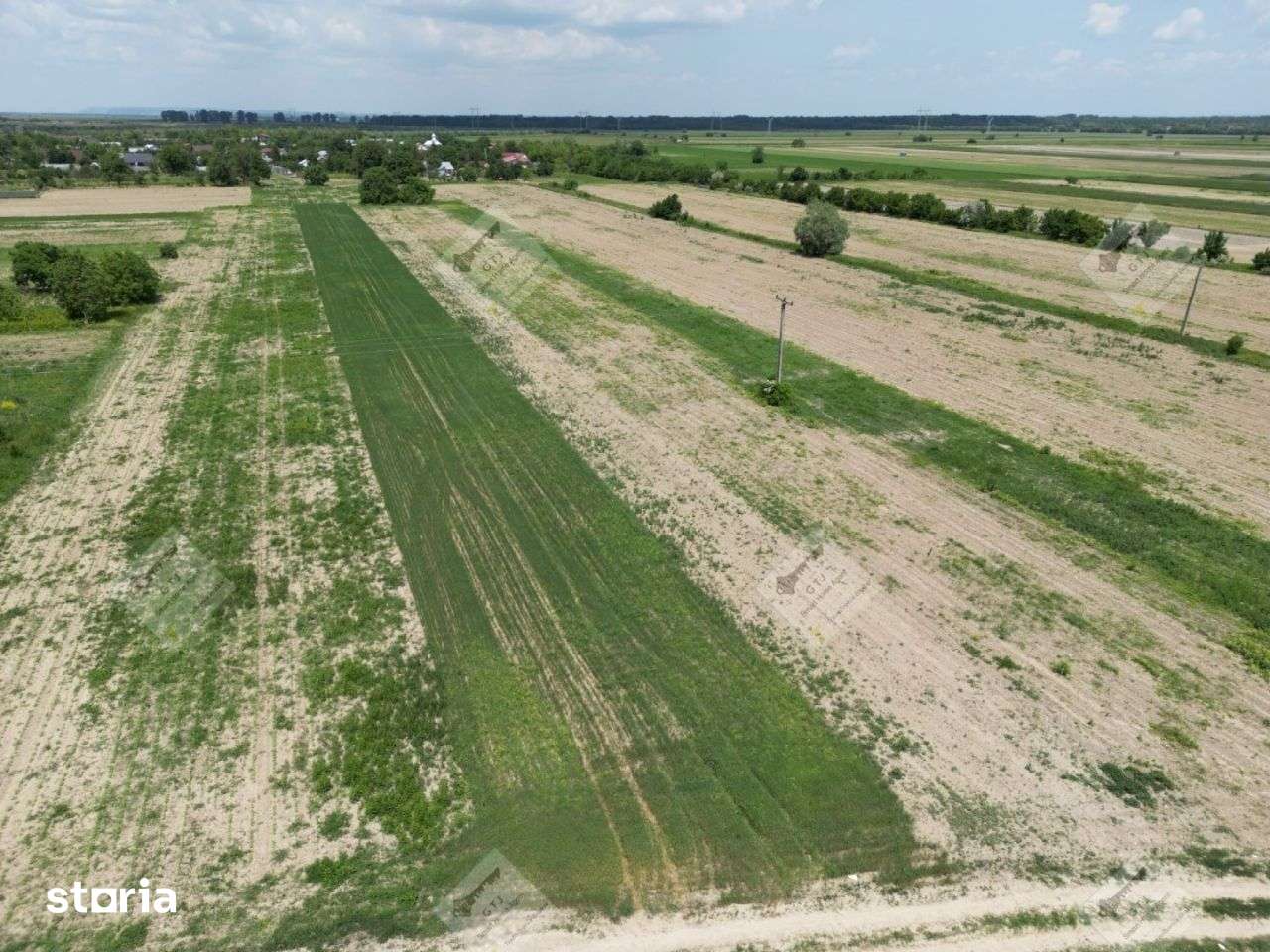 Teren Intravilan Mircestii Vechi Vanatori-6100mp - Imagine principală: 2/8