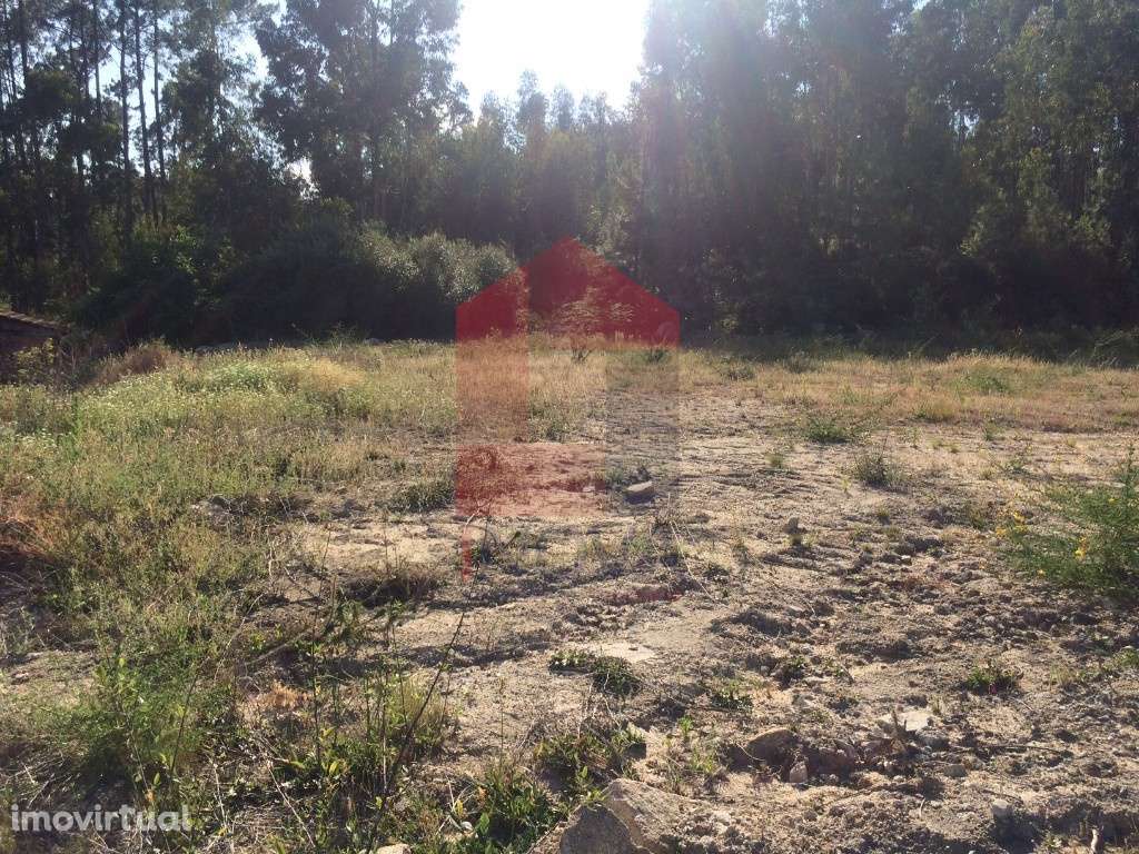 Terreno para construção, Gondiães - Grande imagem: 4/6