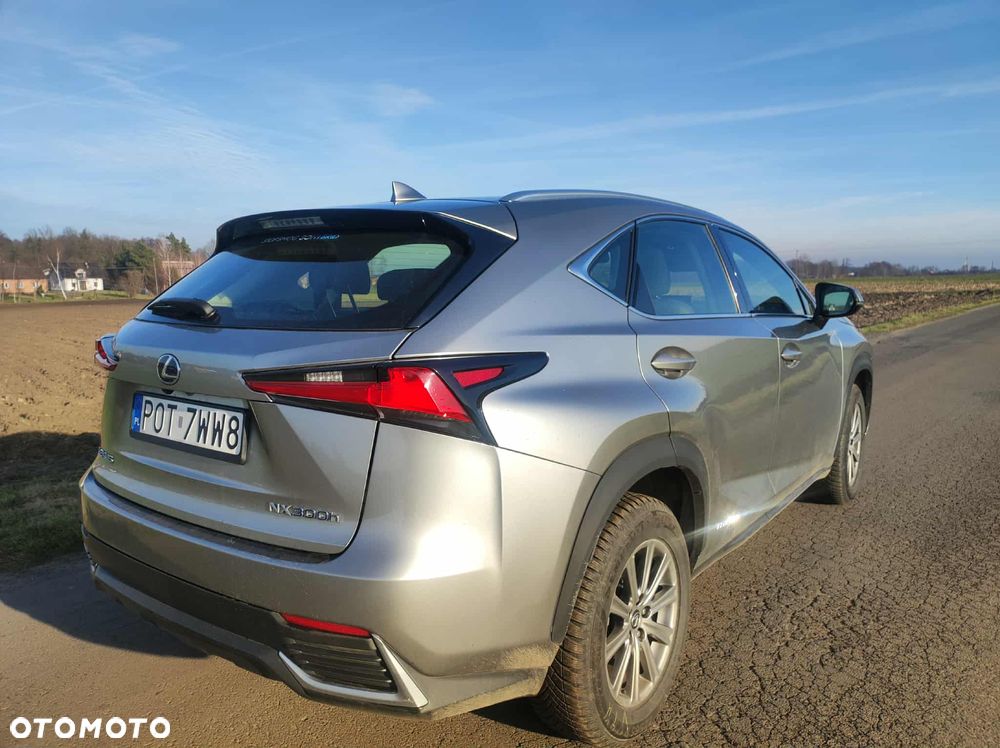 Lexus NX - 6