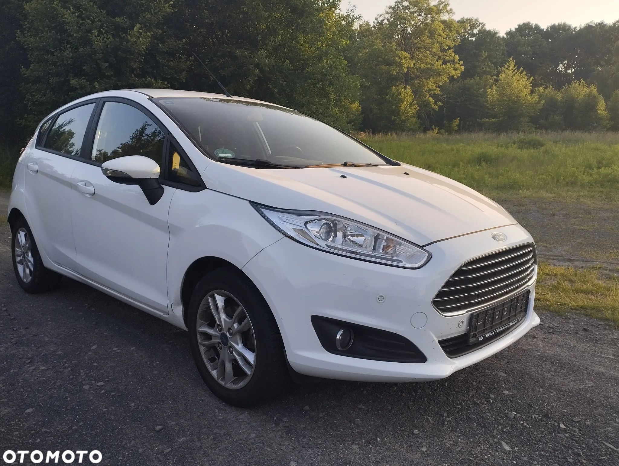 Ford Fiesta - 1