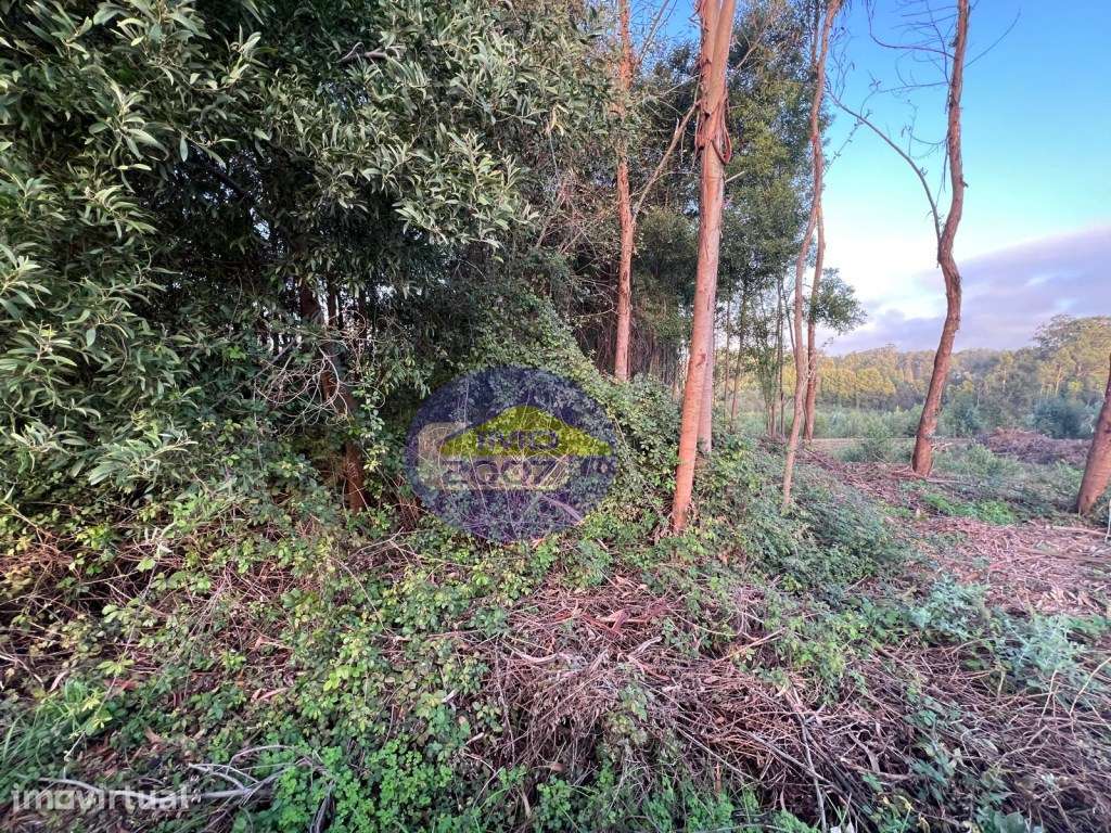 Lote para moradia em Serzedo - Grande imagem: 3/13