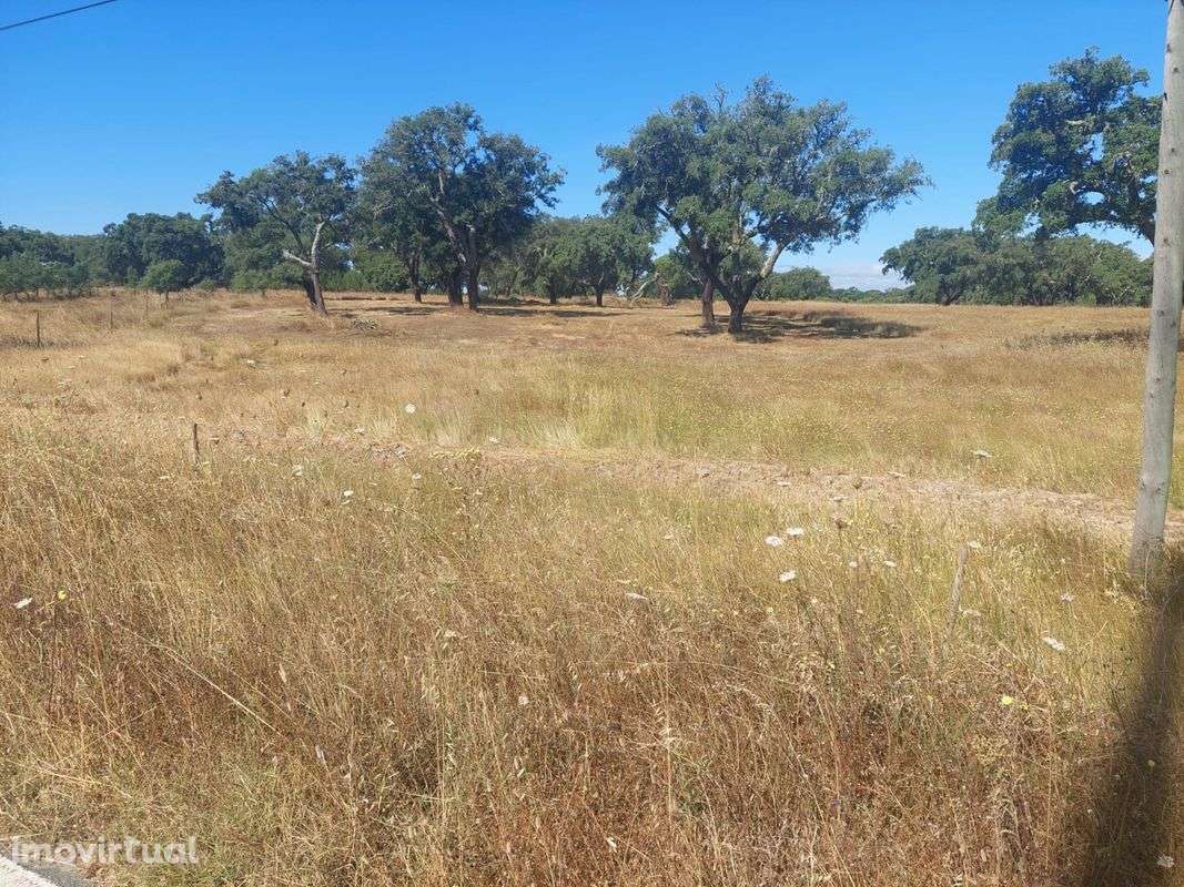 Terreno  para venda - Grande imagem: 3/5