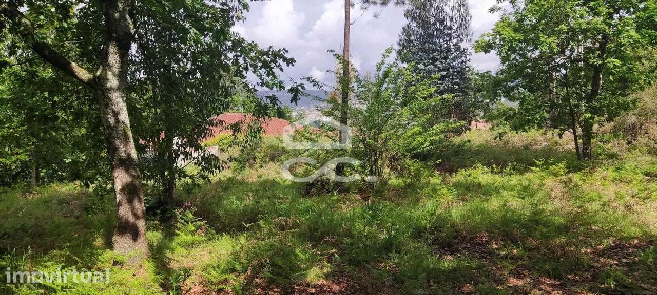 Terreno em Cepães - Fafe - Grande imagem: 2/8