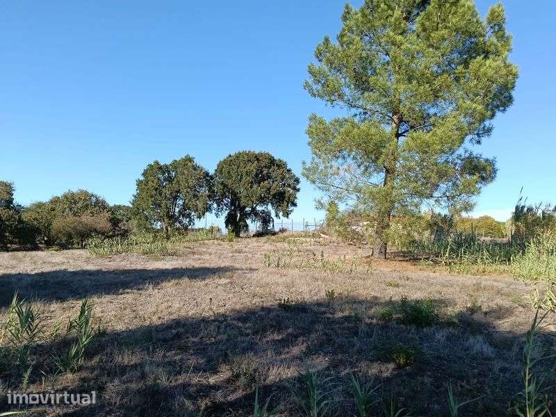 Venda de lote de terreno Ereira Cartaxo - Grande imagem: 4/5