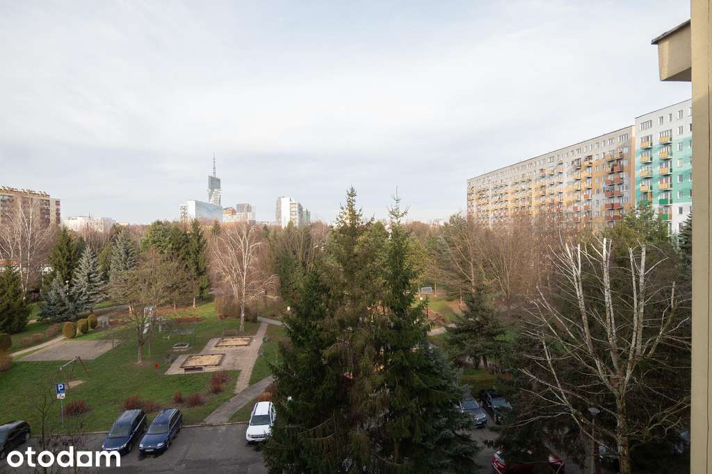 Na sprzedaż - 2 pokoje w doskonałej lokalizacji - Pełny obrazek: 4/9