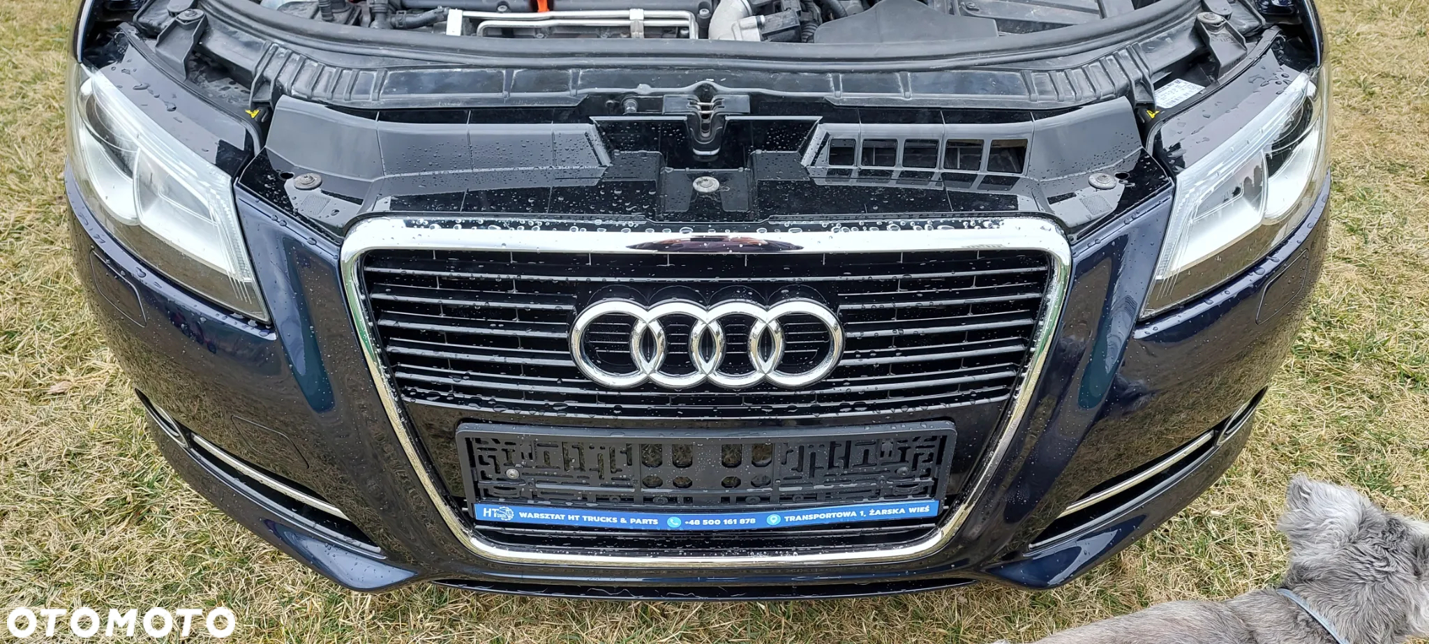 Audi A3 1.4 TFSI Attraction - 13