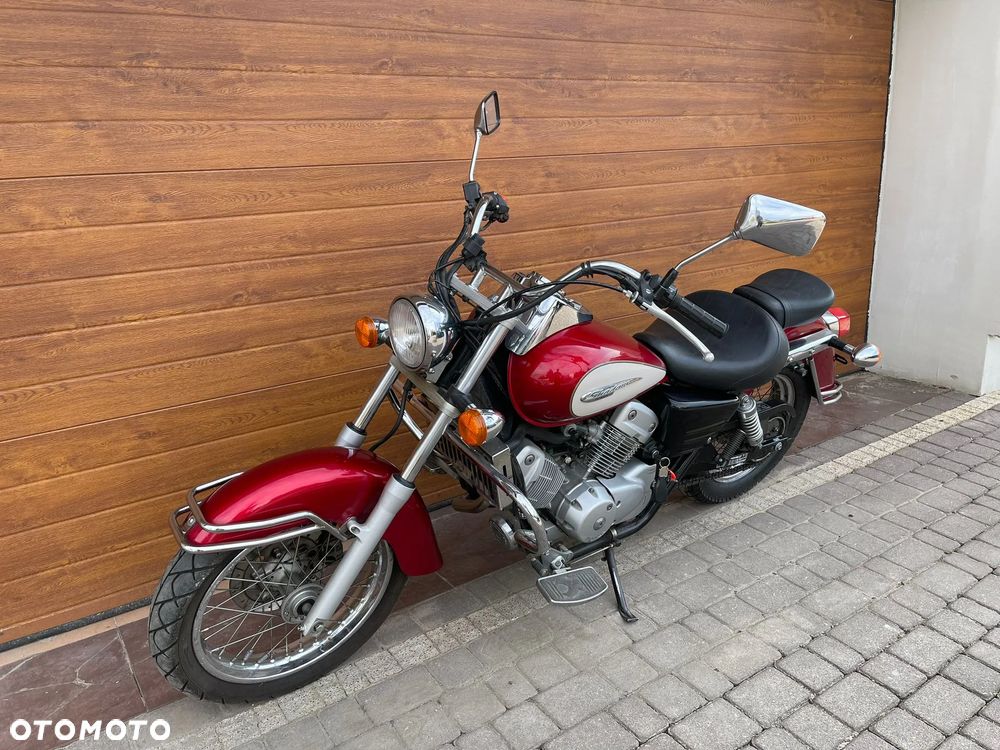 Honda Shadow - 4