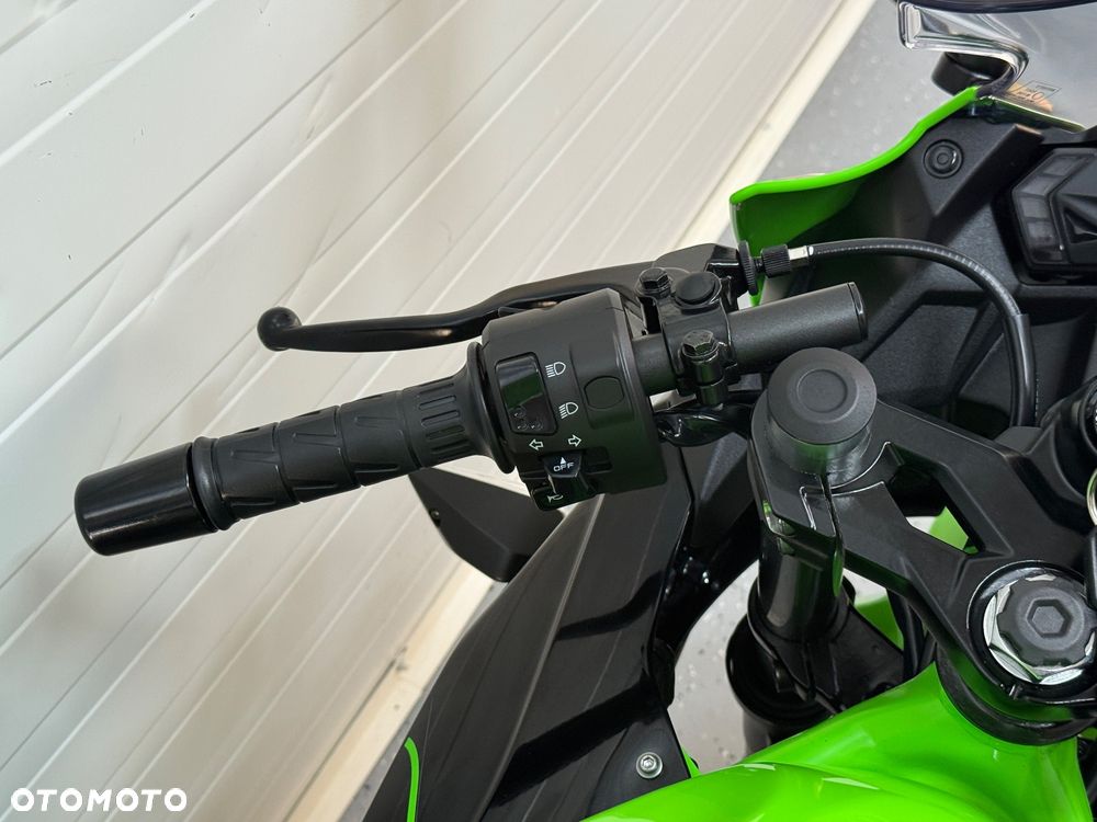 Kawasaki Ninja - 18