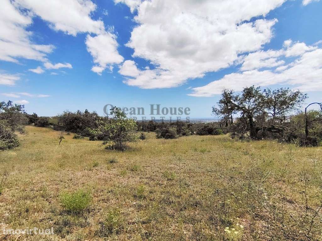 Vende-se vários terrenos rústicos com vista mar - Loulé - Grande imagem: 4/5