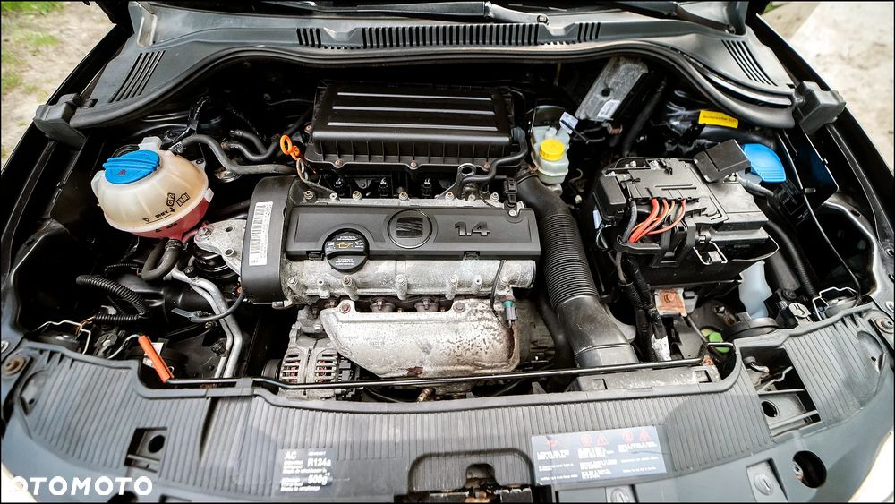 Seat Ibiza - 34