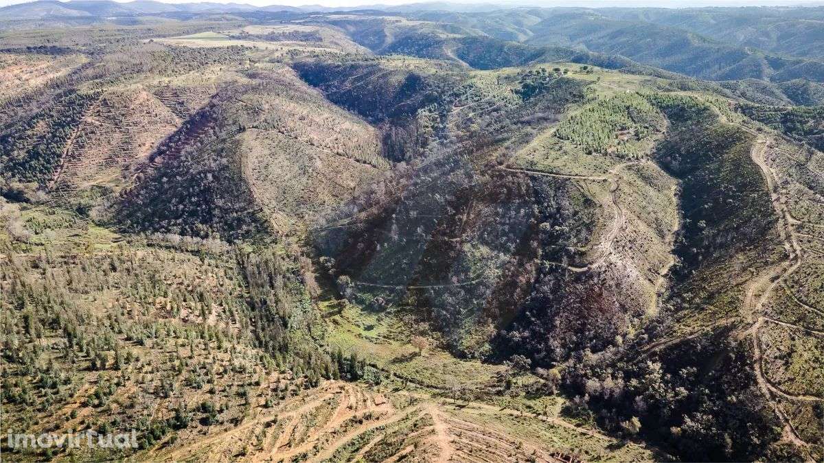 PROPRIEDADE RURAL COM POTÊNCIAL TURÍSTICO - Grande imagem: 3/12