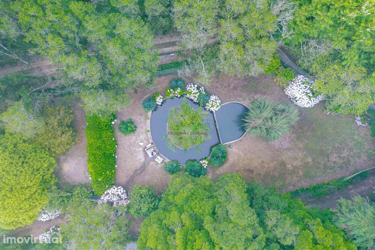 Quinta única em Colares - Grande imagem: 3/49