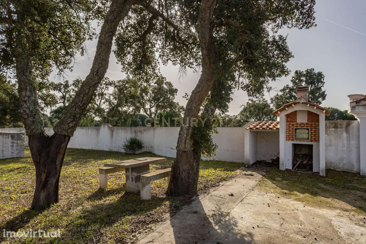 Moradia T4 em Herdade de 9,5 ha - Grande imagem: 4/60