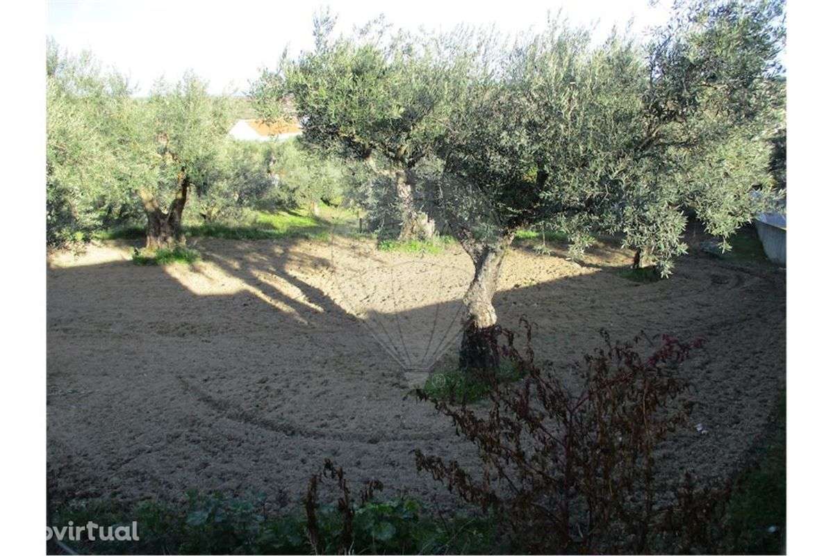 Quinta T0 para venda - Grande imagem: 3/8