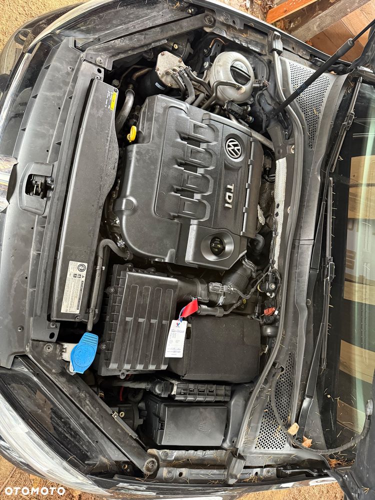 Volkswagen Golf 1.6 TDI BlueMotion Technology Allstar - 8