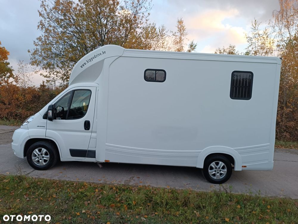 Fiat Ducato  2.3 Klima Koniowóz 2-konie - 15