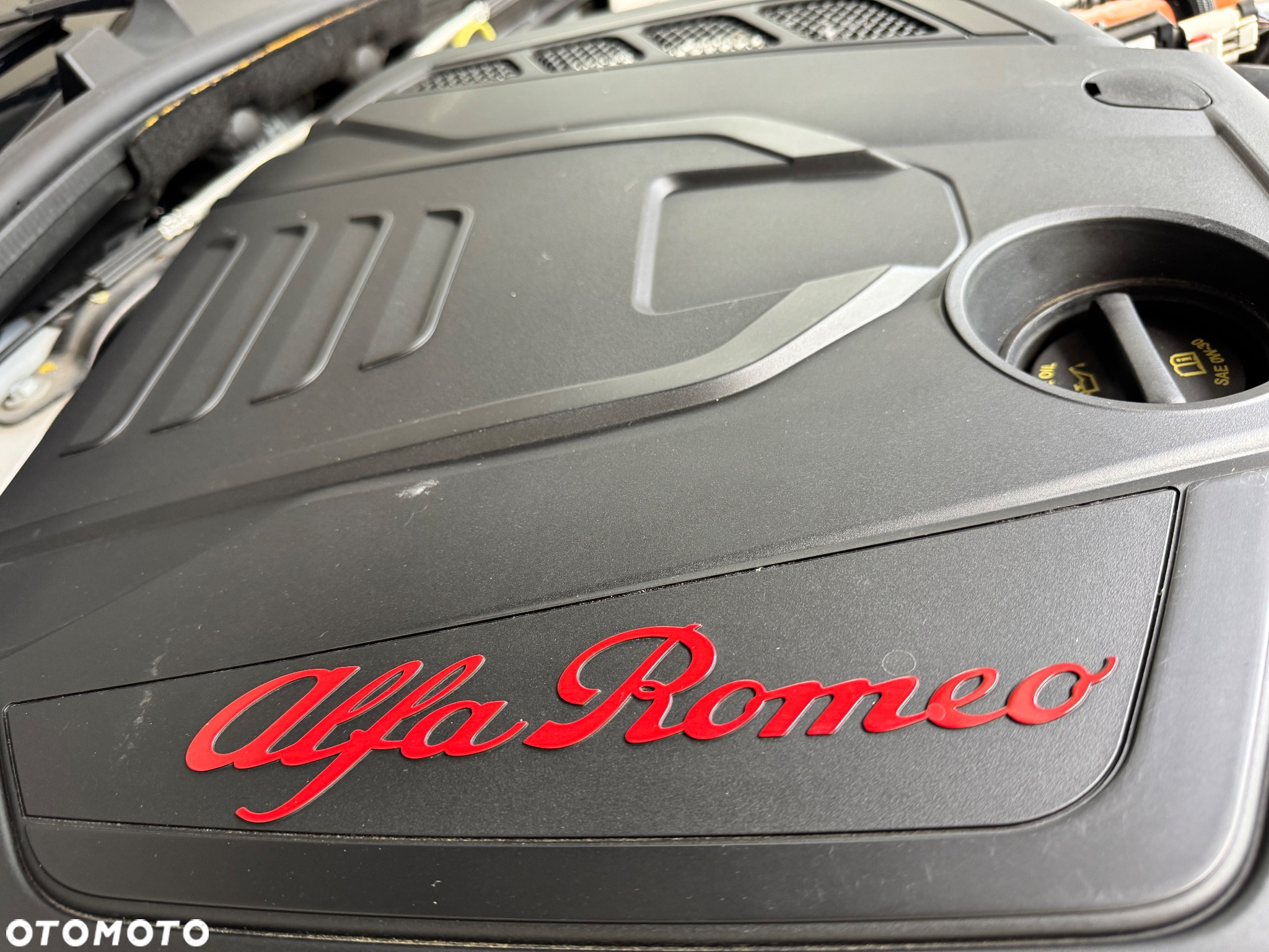 Alfa Romeo Giulia 2.0 Turbo Veloce Q4 - 7