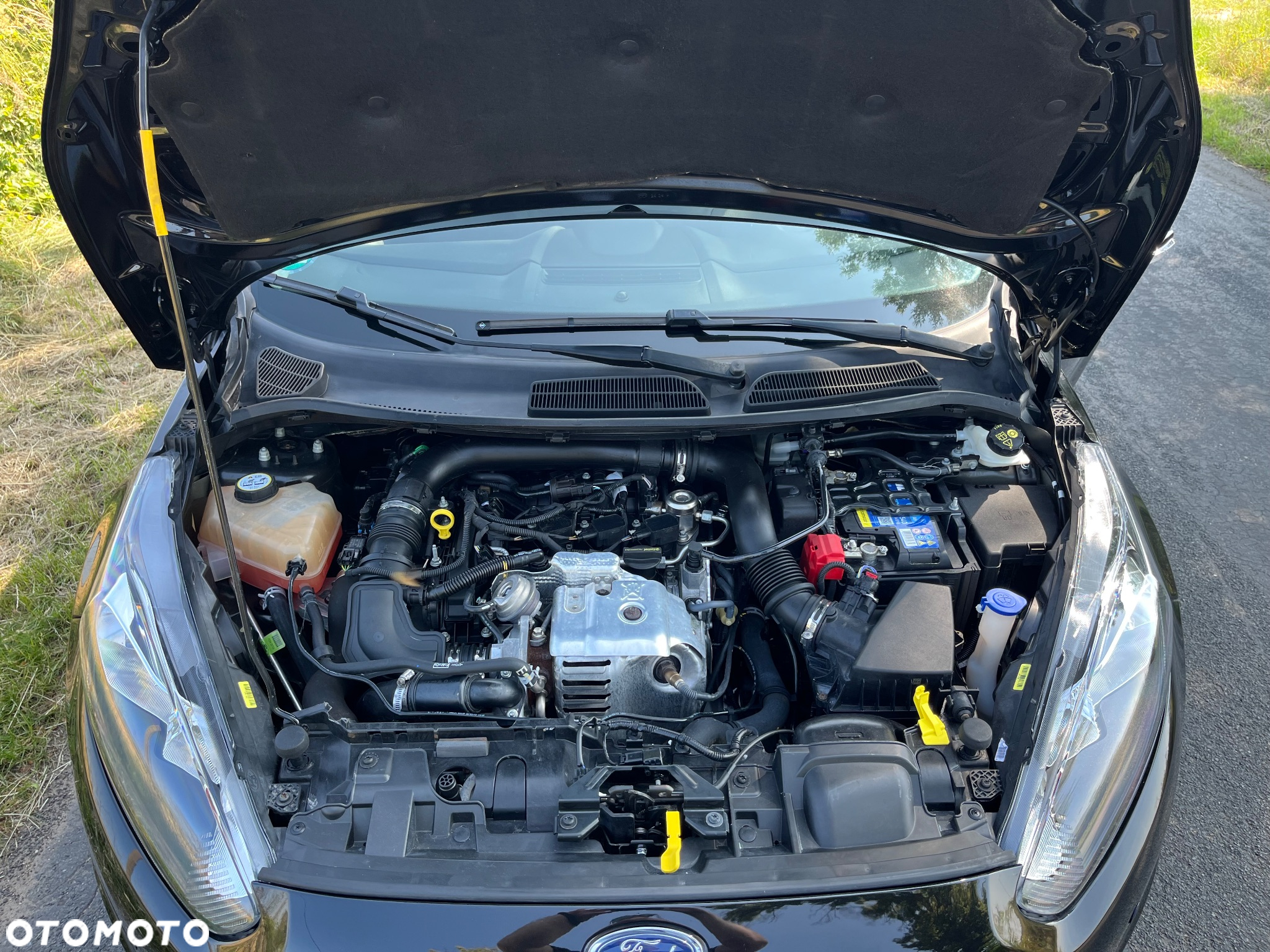 Ford Fiesta 1.0 EcoBoost Start-Stop Champions Edition - 17
