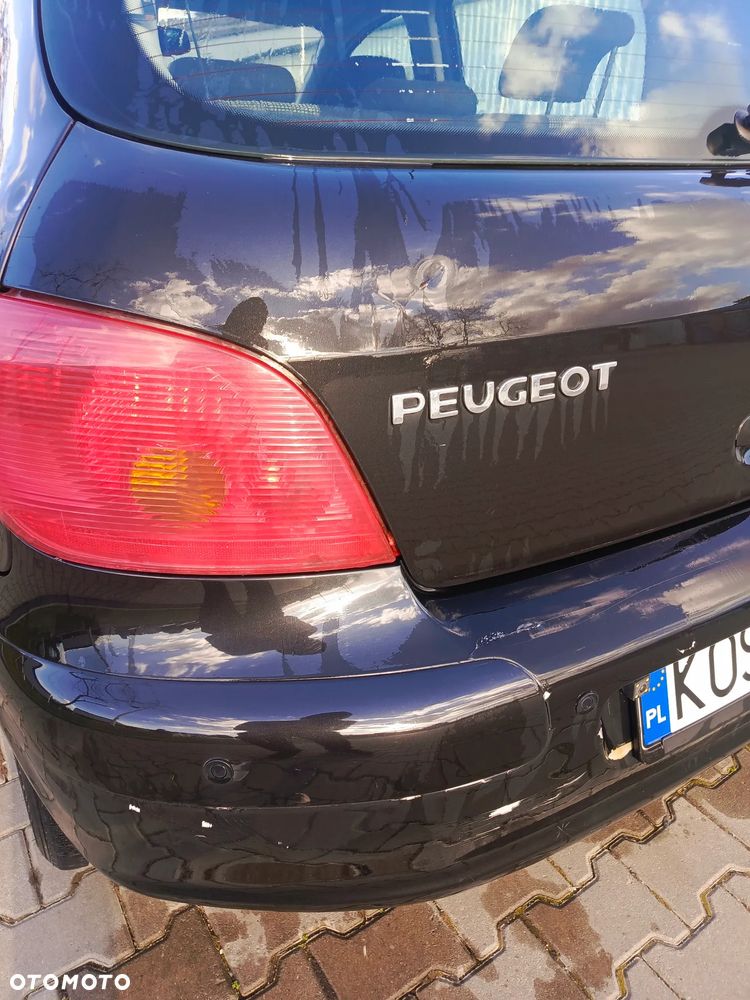 Peugeot 307 - 8