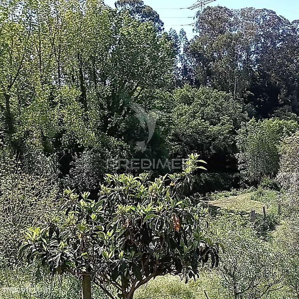 Moradia com Terreno e Projeto Aprovado - Grande imagem: 4/35