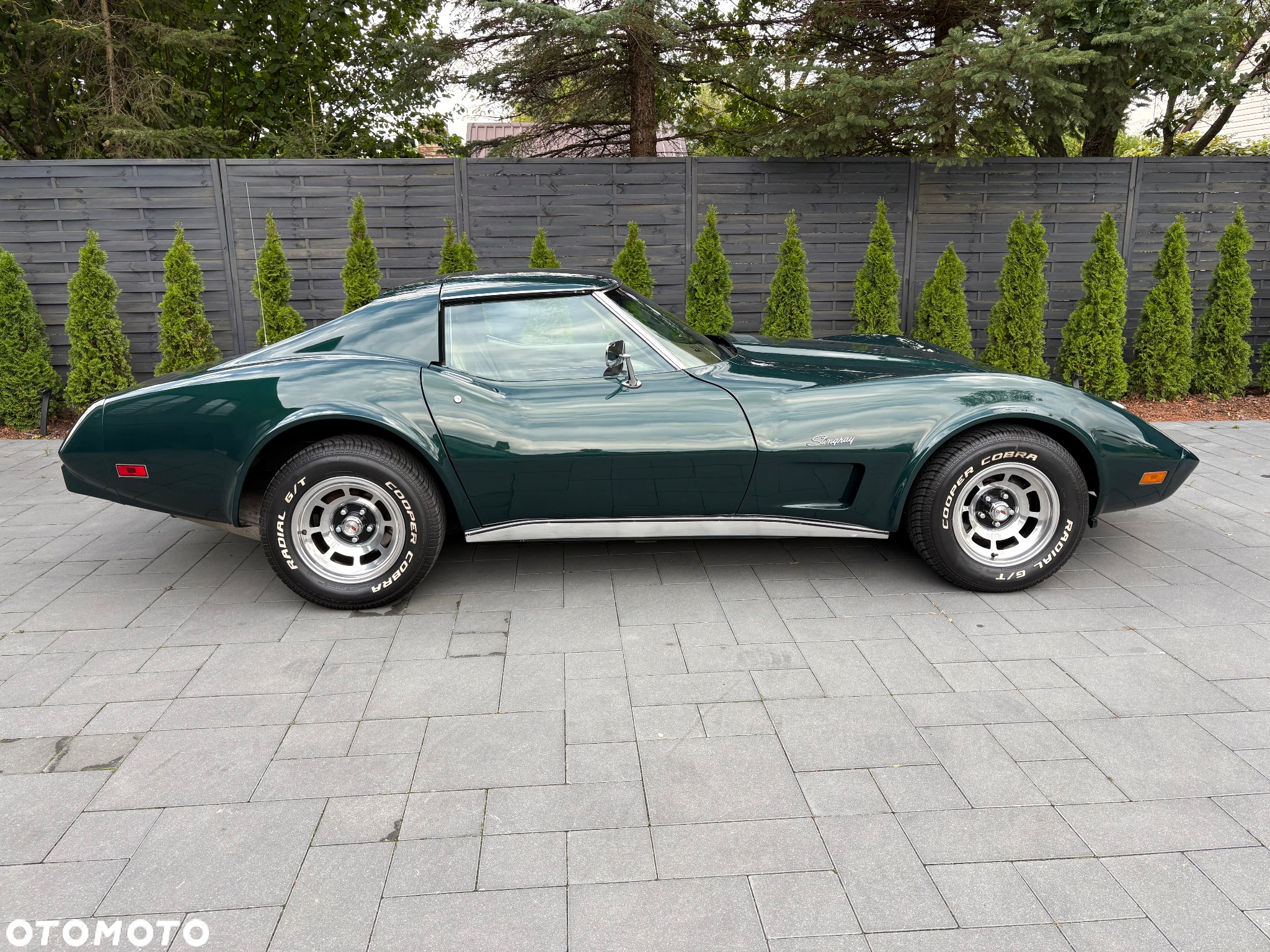 Chevrolet Corvette - 6