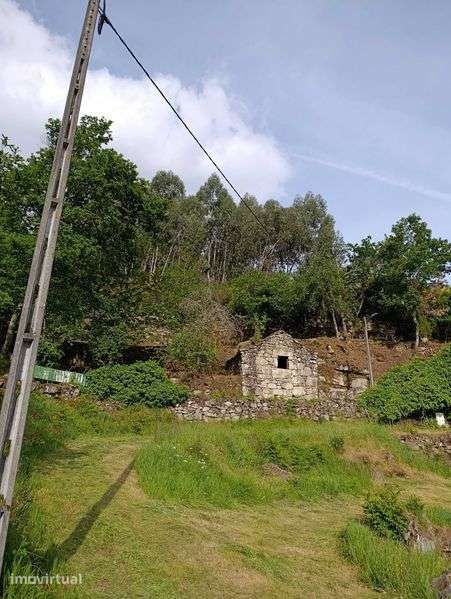 Palheiro em pedra com terreno - Grande imagem: 4/12