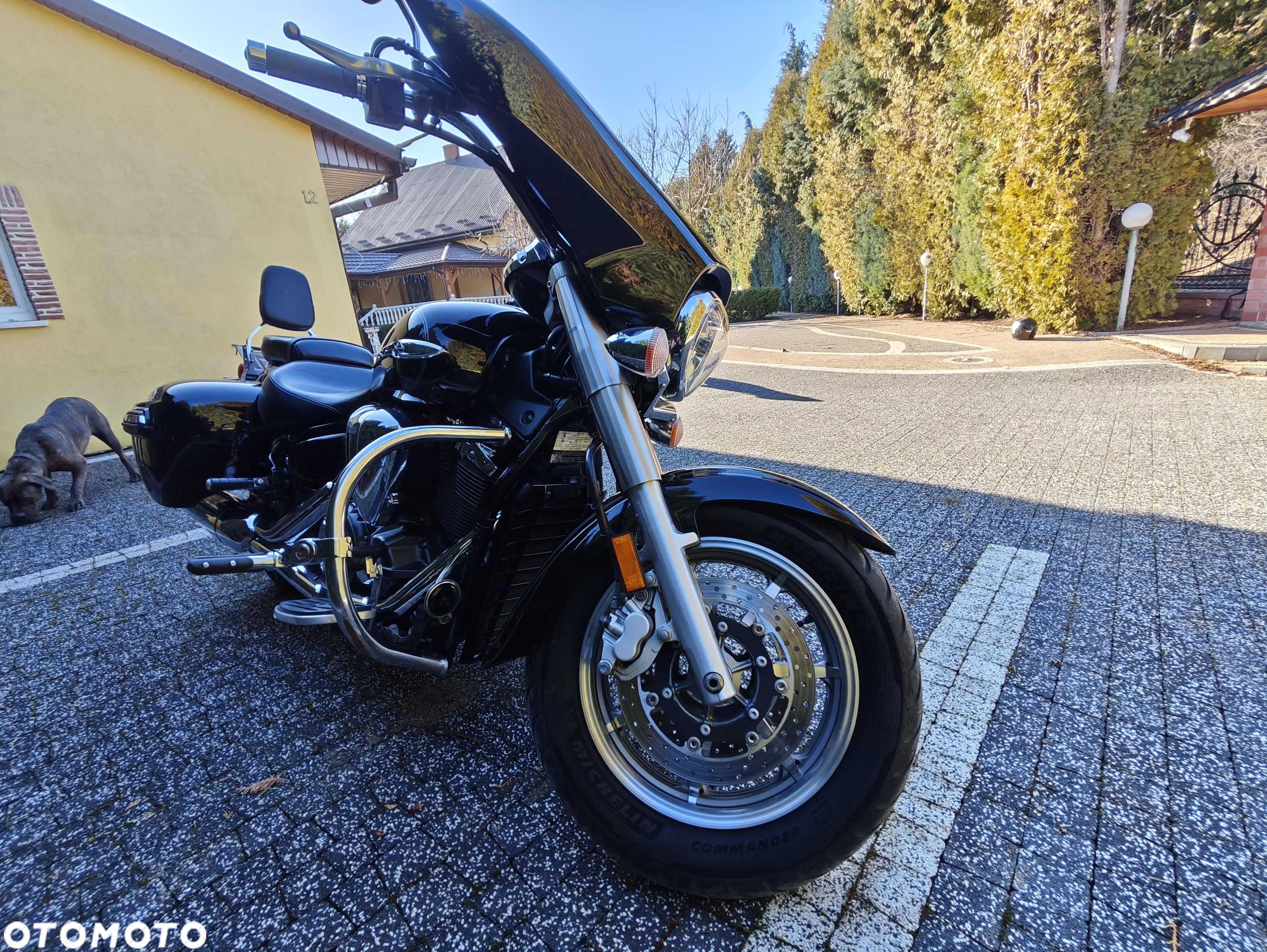 Yamaha XVS - 12