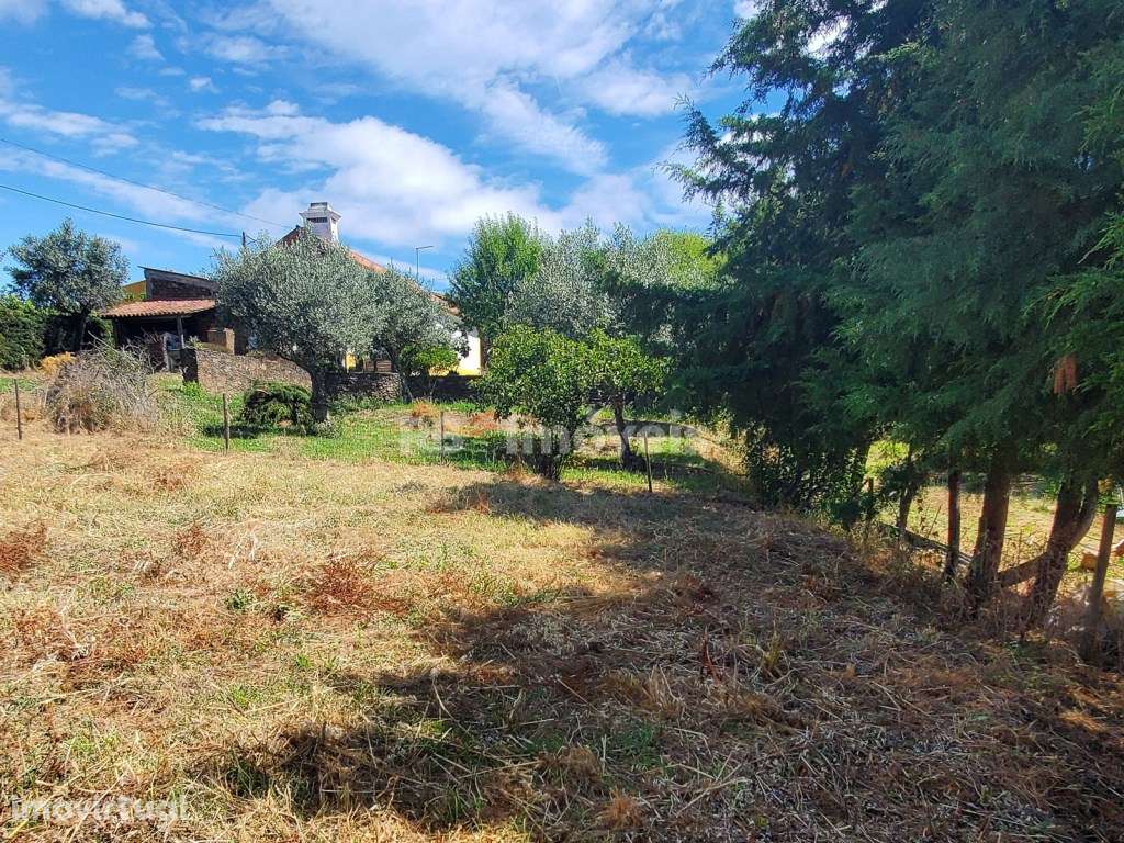 Terreno rústico com 400 m2, situado nas Limeiras. - Grande imagem: 3/10