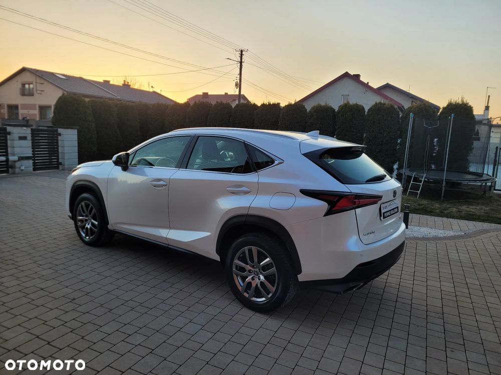 Lexus NX 300 Business Edition AWD - 13
