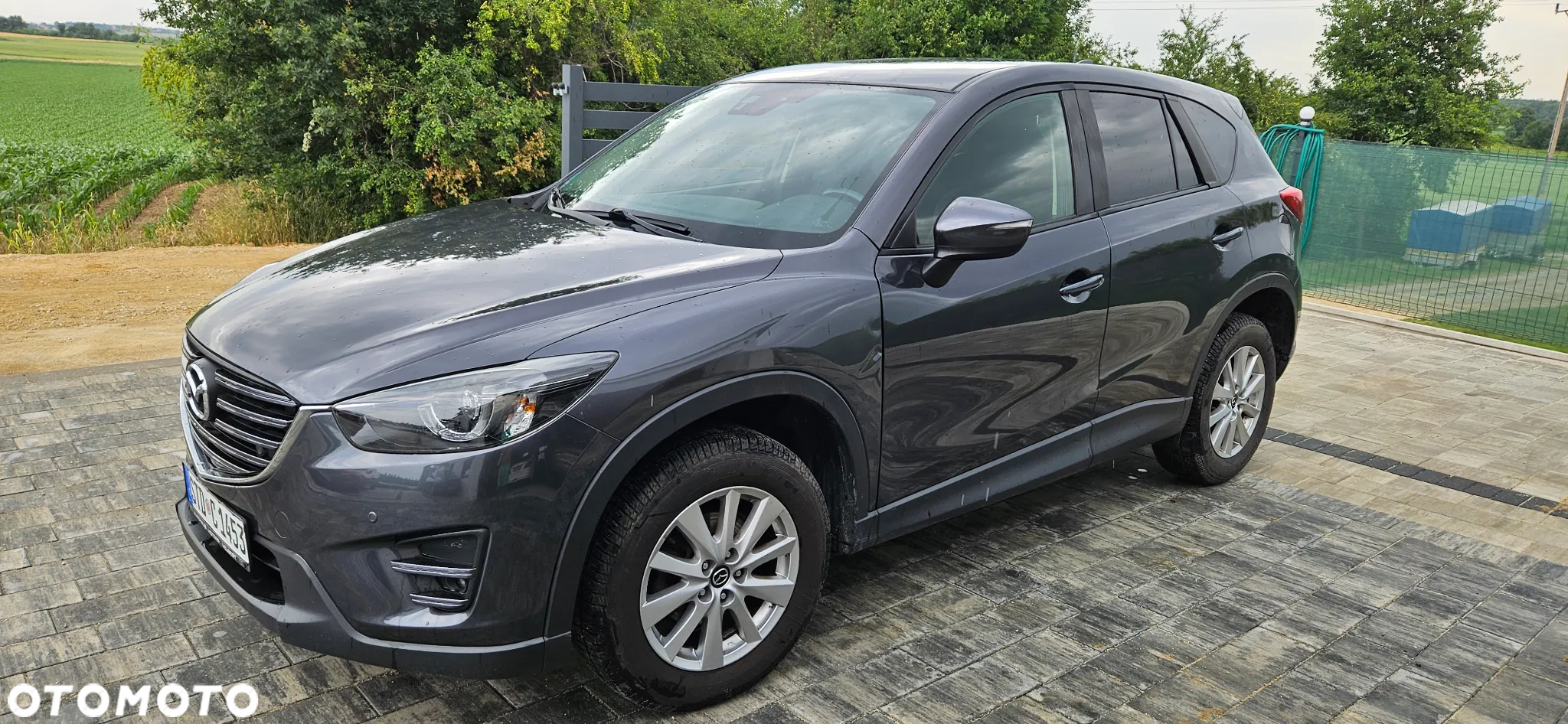 Mazda CX-5 2.2 D Skyenergy 2WD - 4