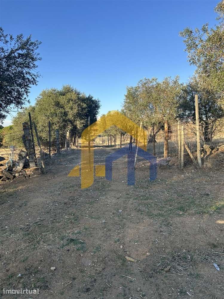 Quintinha com ruína para reconstrução em Redondo - Grande imagem: 4/26