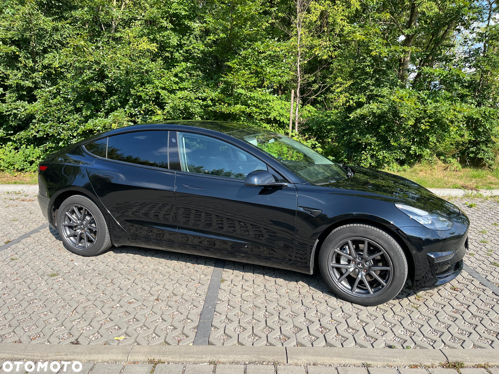 Tesla Model 3 Standard Reichweite Plus Hinterradantrieb - 3