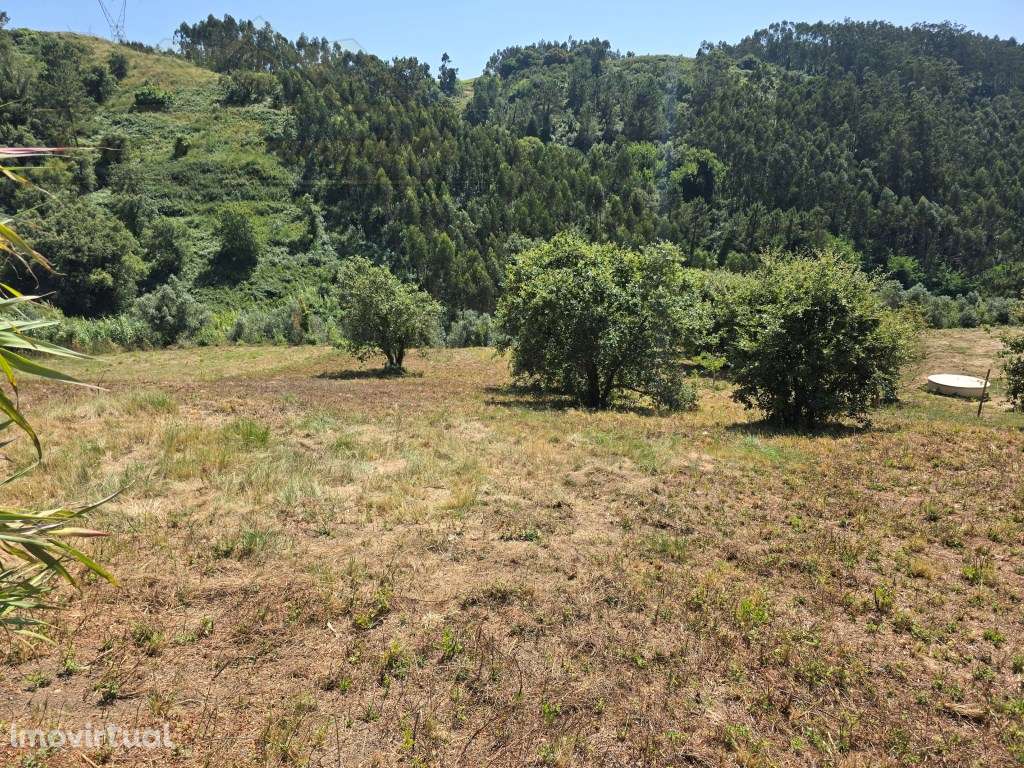 Terreno urbanizável para MORADIA - Grande imagem: 4/12