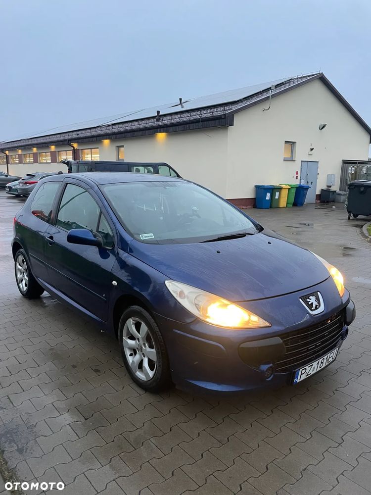 Peugeot 307 - 4