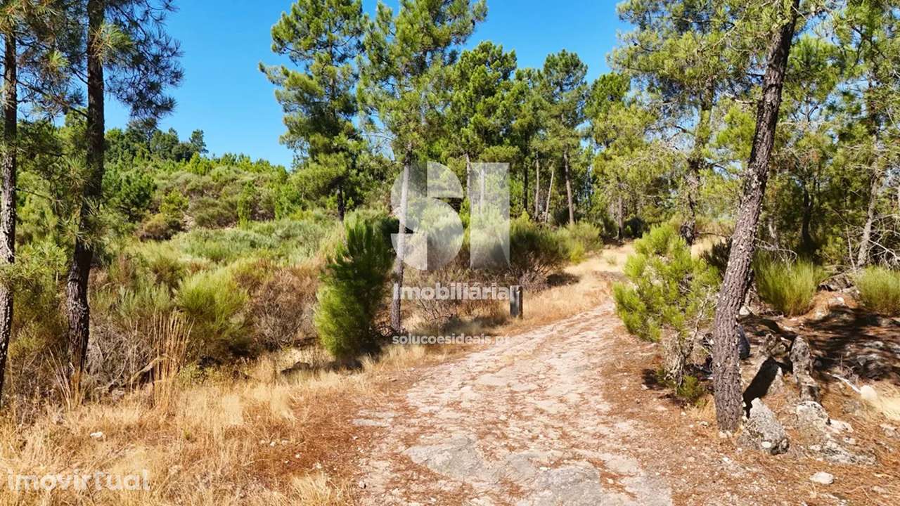 Terreno em Alijó - Grande imagem: 2/20