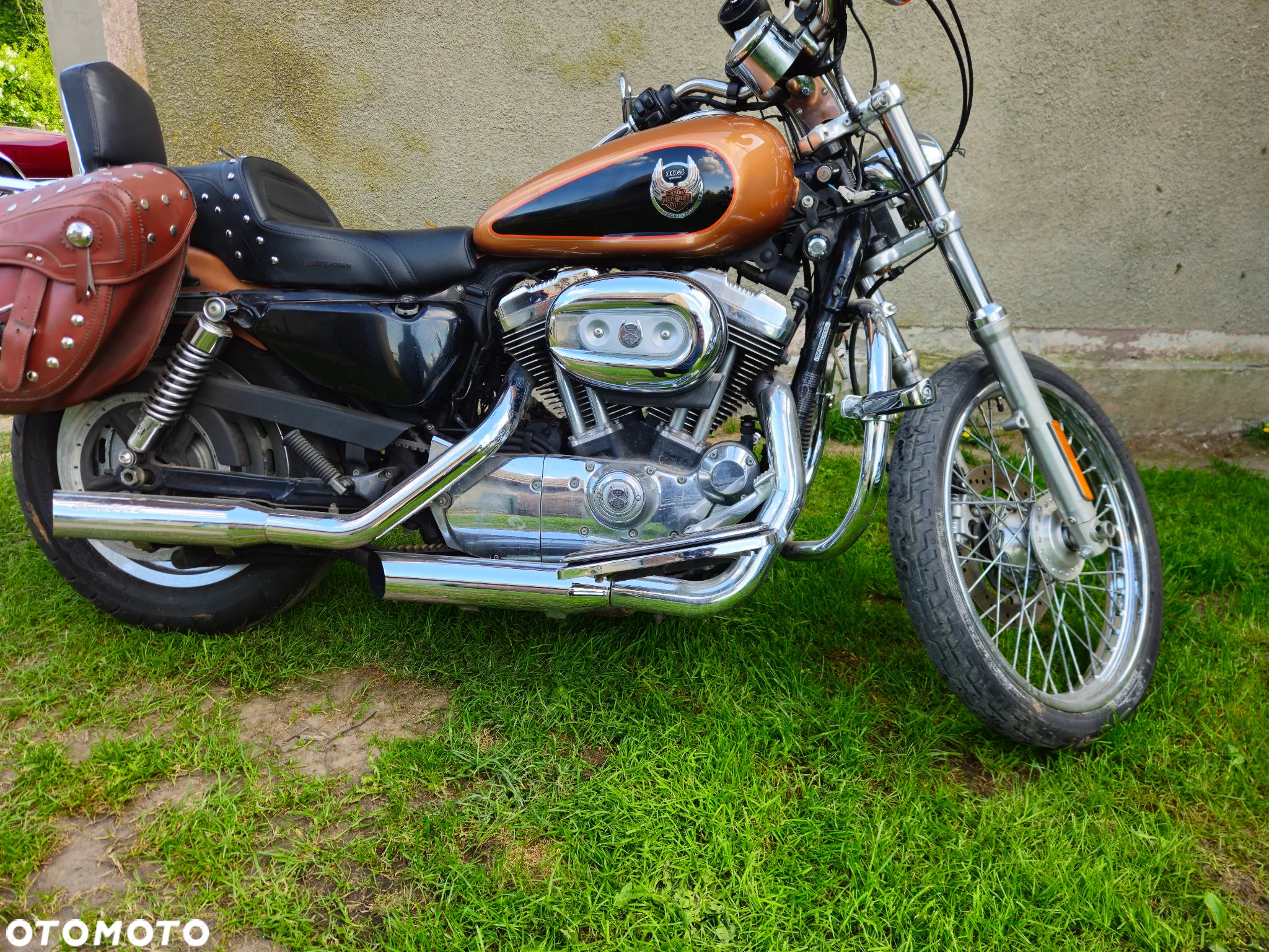 Harley-Davidson FLH Shovelhead - 21