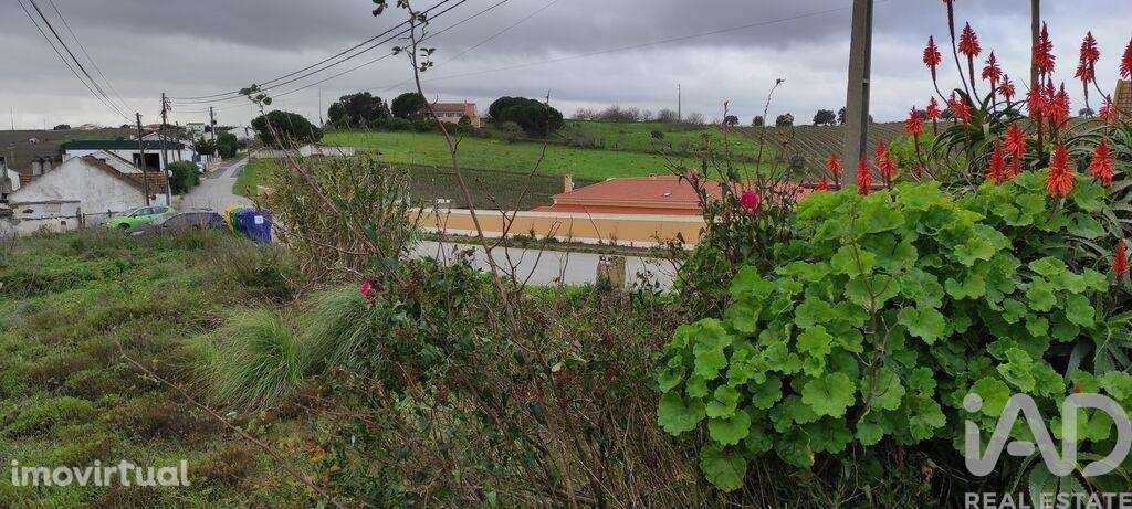 Terreno em Carnota de 8480,00 m2 - Grande imagem: 2/18