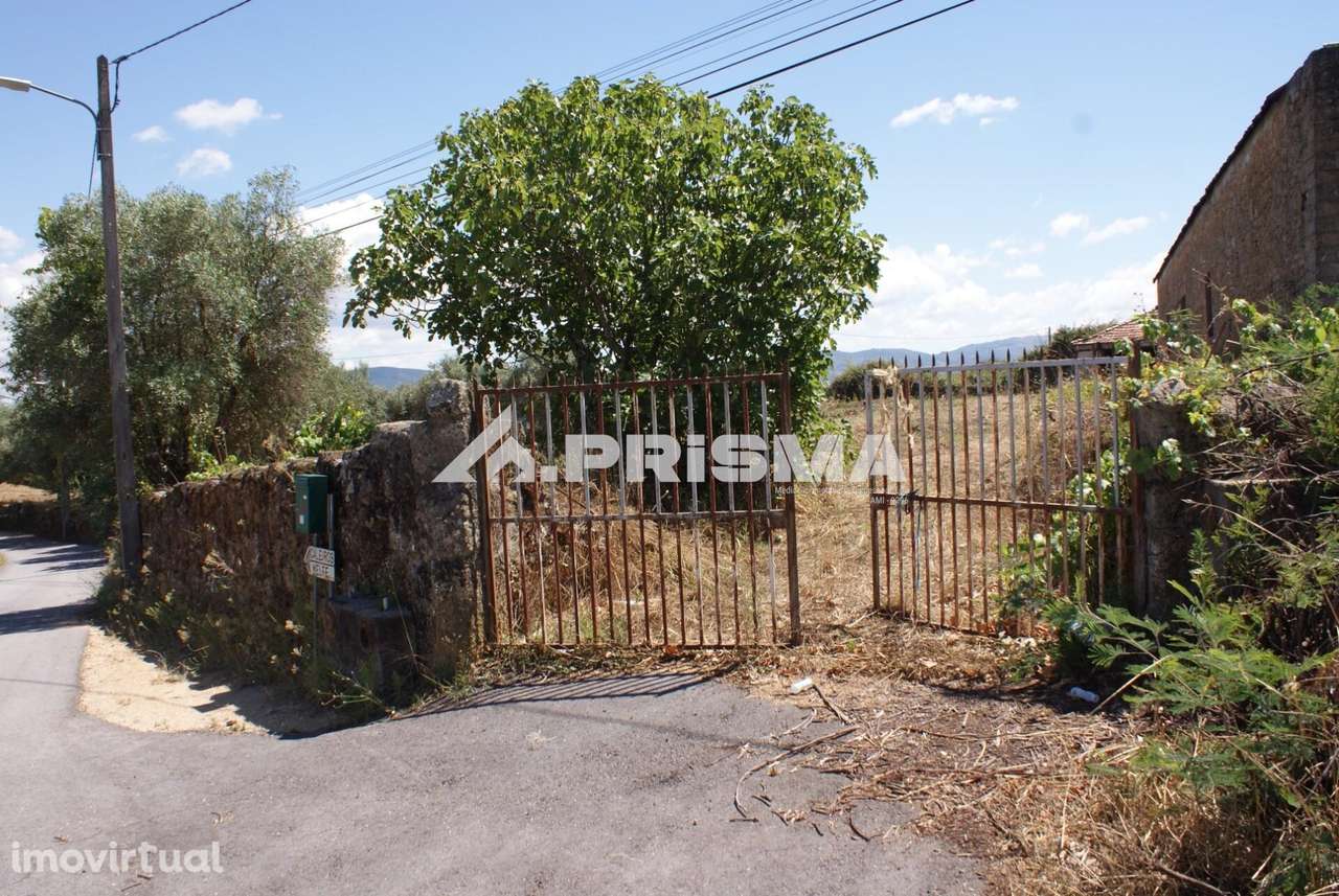 Terreno rústico para venda em Pêro Viseu - Grande imagem: 2/30