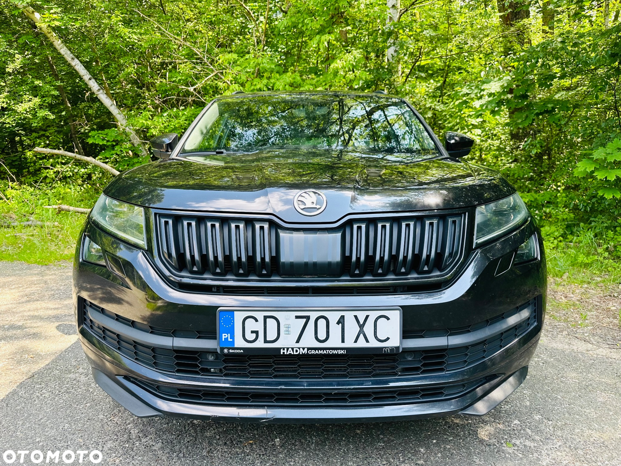 Skoda Kodiaq 2.0 TDI 4x4 Sportline DSG 7os - 2