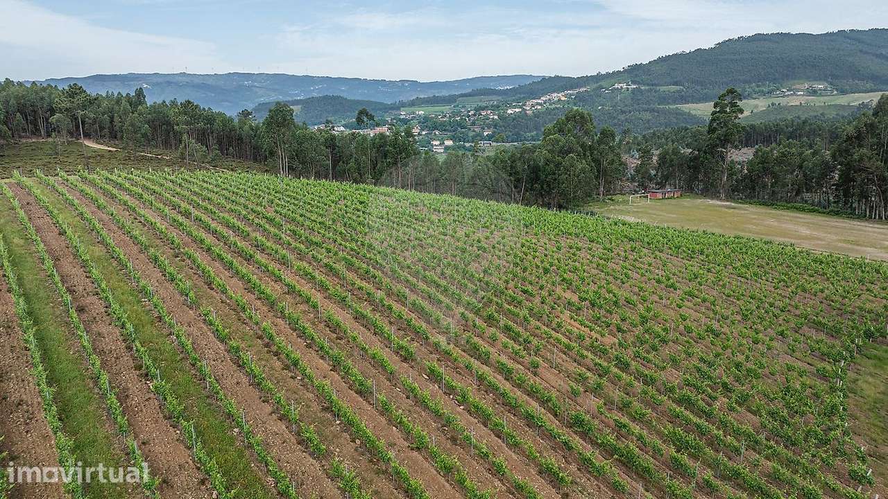 Terreno  para venda - Grande imagem: 4/16