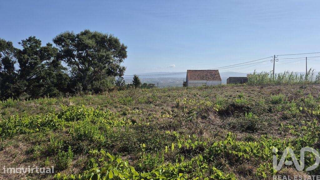 Terreno para construção em Vimeiro - Grande imagem: 5/19
