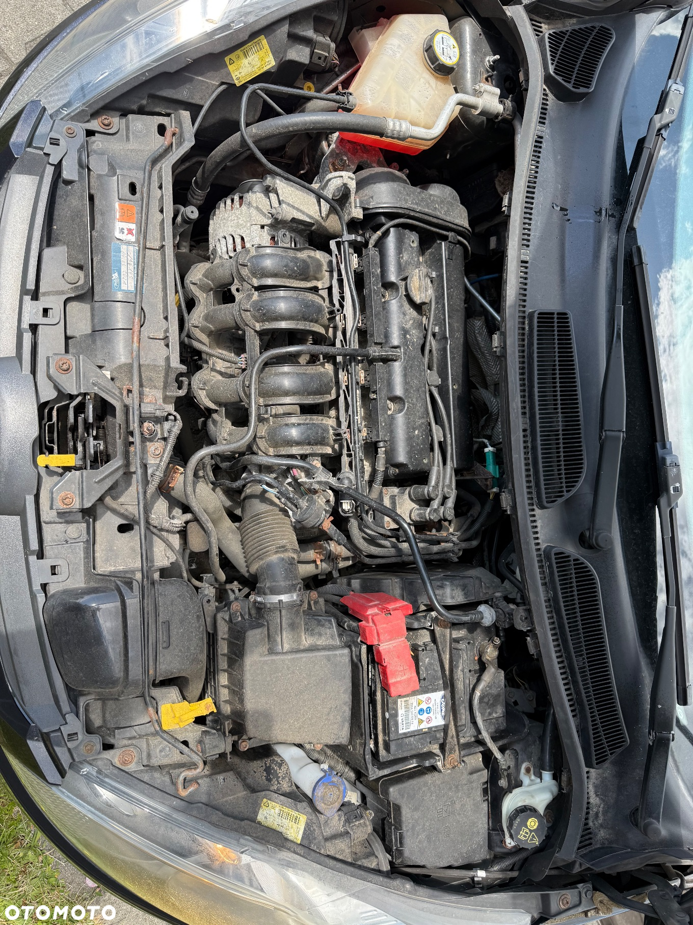 Ford Fiesta 1.25 Silver X - 33