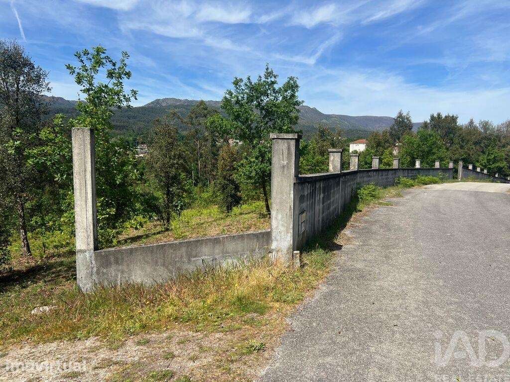 Terreno para construção em Santa Cruz da Trapa e São Cristóvão de Lafõ - Grande imagem: 4/13