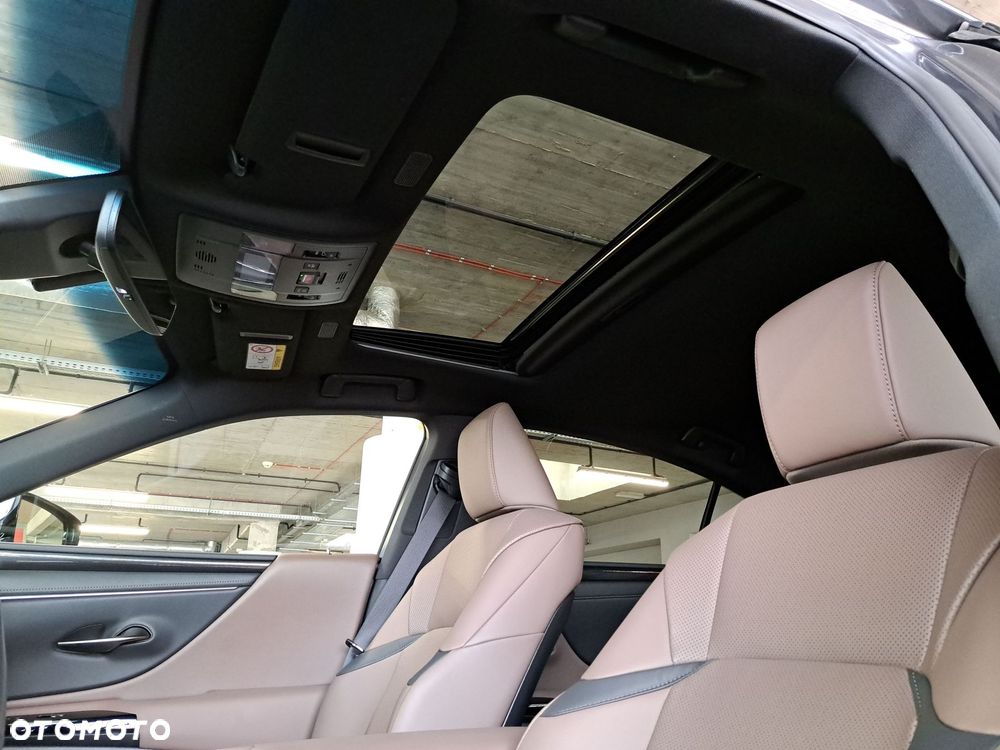 Lexus ES 300h Business Edition - 12