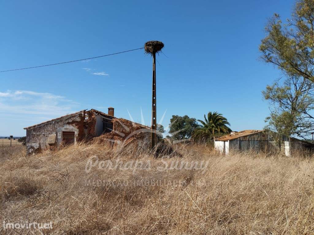 Herdade a 10km de Alvalade do Sado - Grande imagem: 4/43