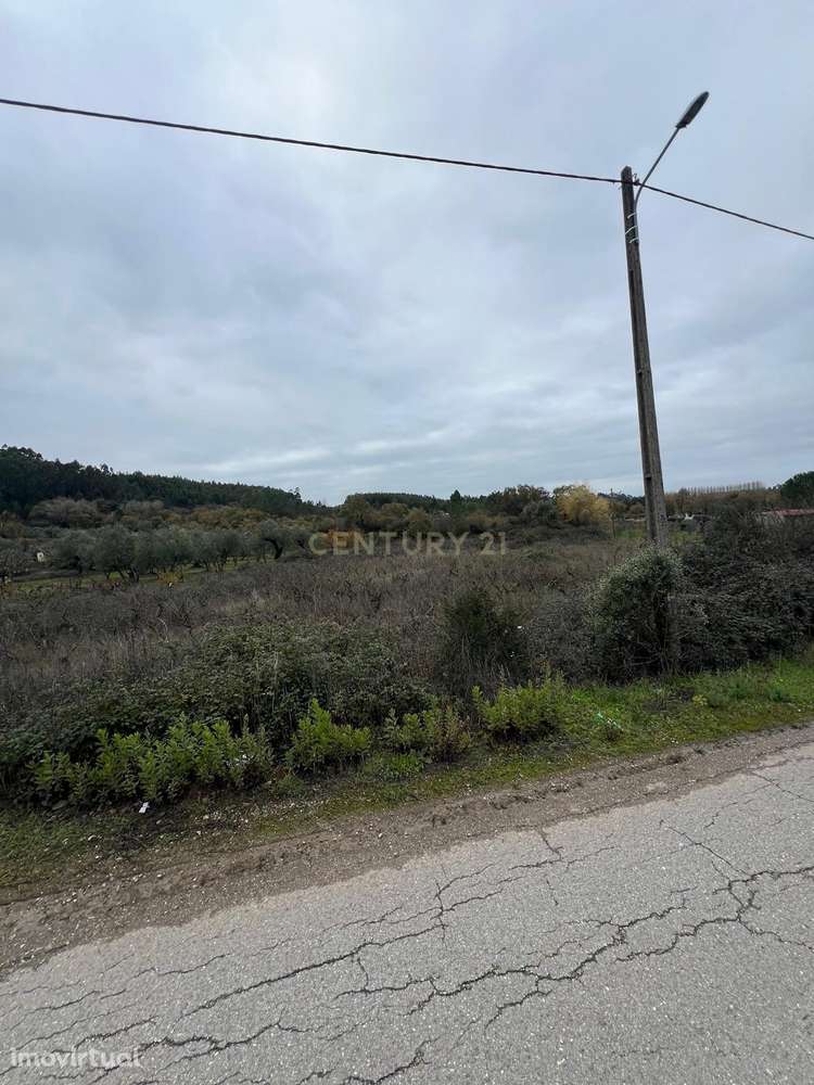 Excelente Terreno na Aguda – Tranquilidade, Natureza e Ótimos Acessos - Grande imagem: 3/5