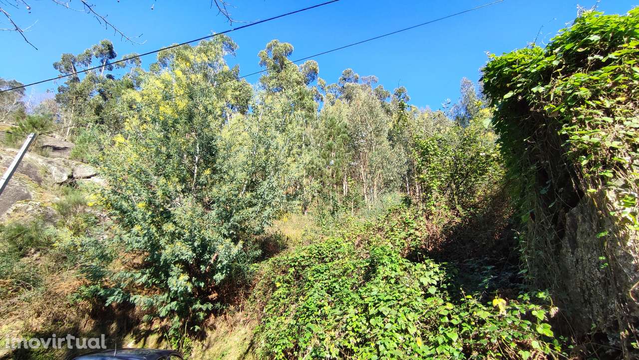 Terreno, 2 200 m², Bouro (Santa Maria) - Grande imagem: 2/8