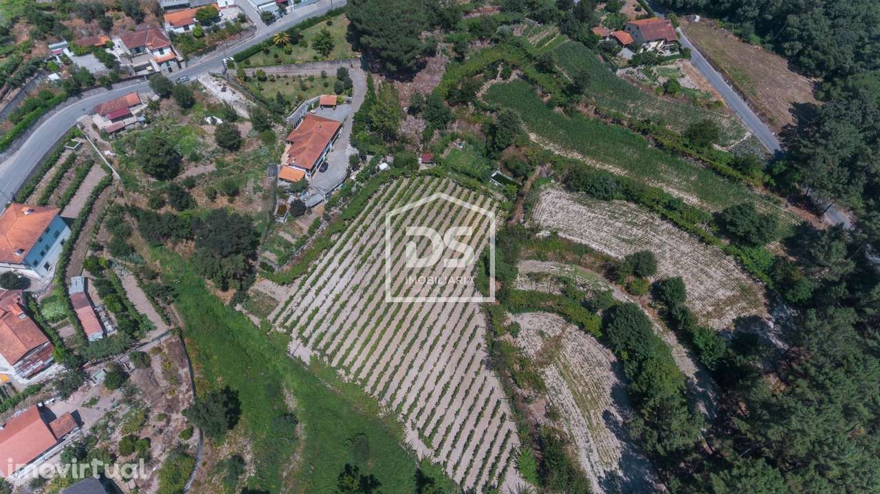 Quinta com Vinha e Produção de Vinho – Freixo de Baixo, Amarante - Grande imagem: 4/40