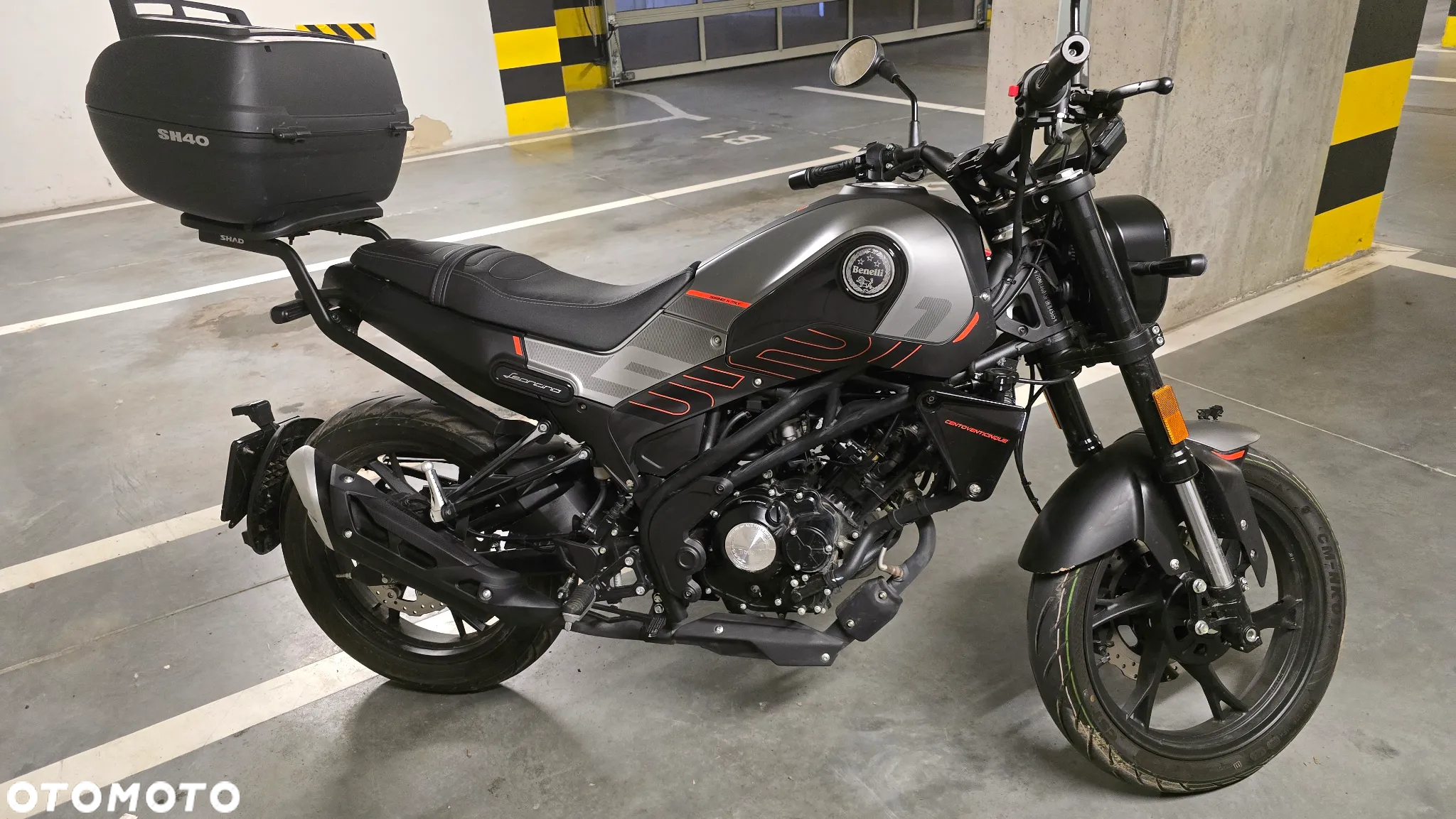 Benelli Leoncino - 8