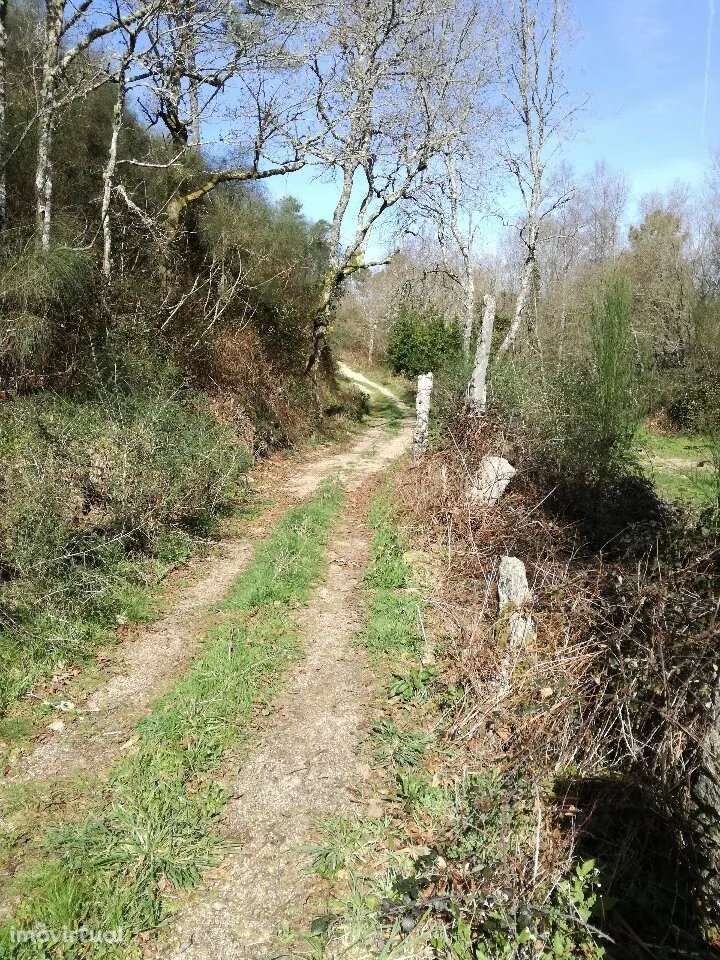 Terreno, Viana do Castelo, Monção - Grande imagem: 2/10
